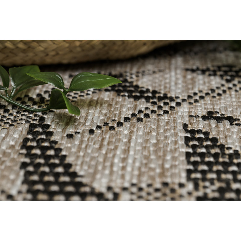 Earlville Floral Indoor / Outdoor Area Rug, Rectangle 200 x 290cm