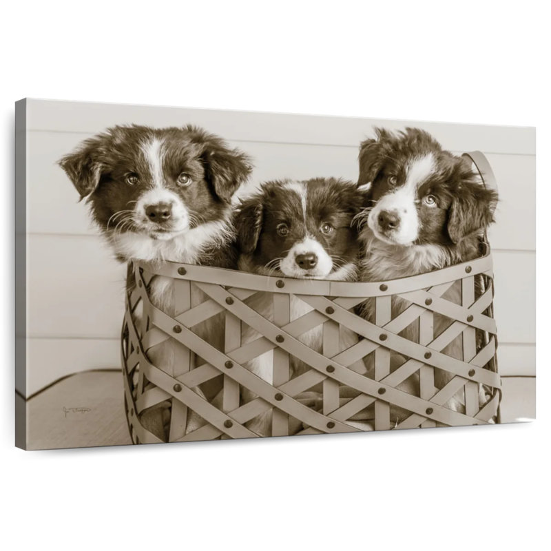 Brampt What A Cute Bundle, 8" H x 12" W