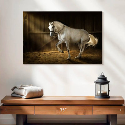 Brampt Dressage Piaffe Horse