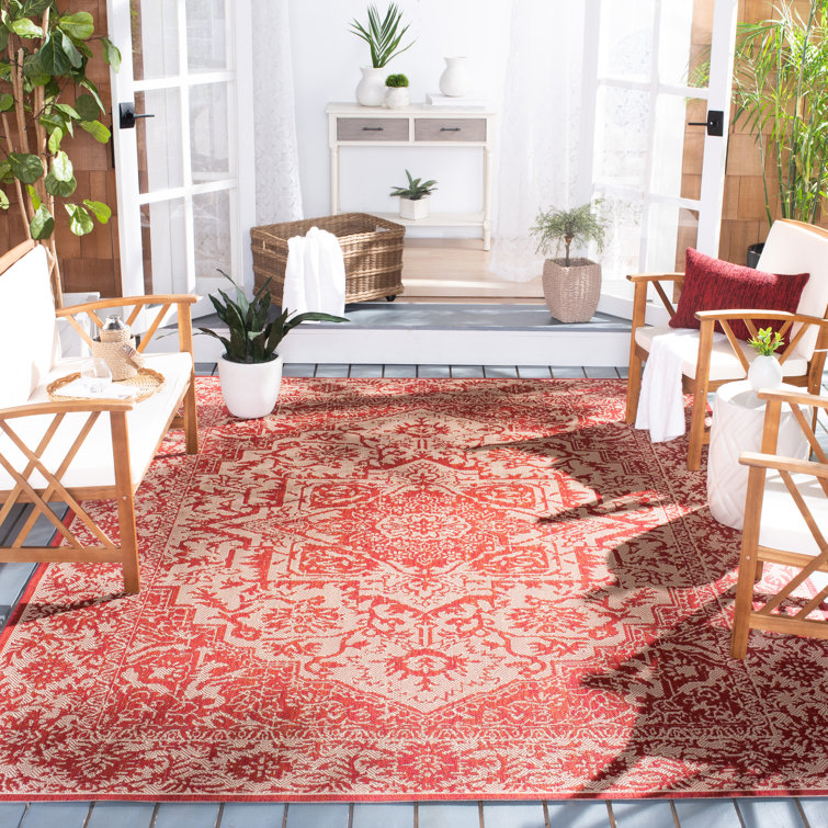 Danya Red/Cream Indoor/Outdoor Area Rug