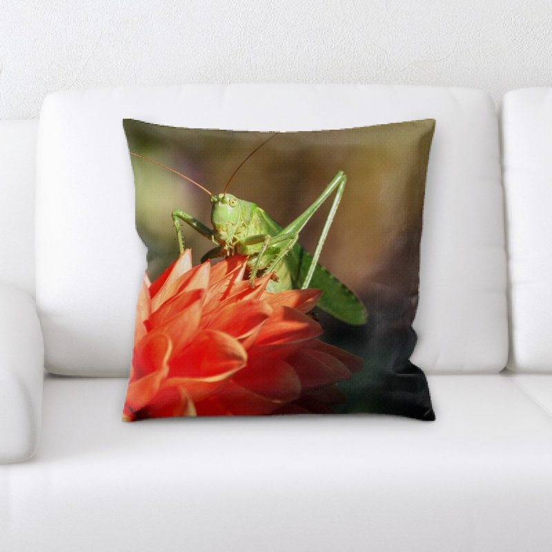 Coussin sauterelle