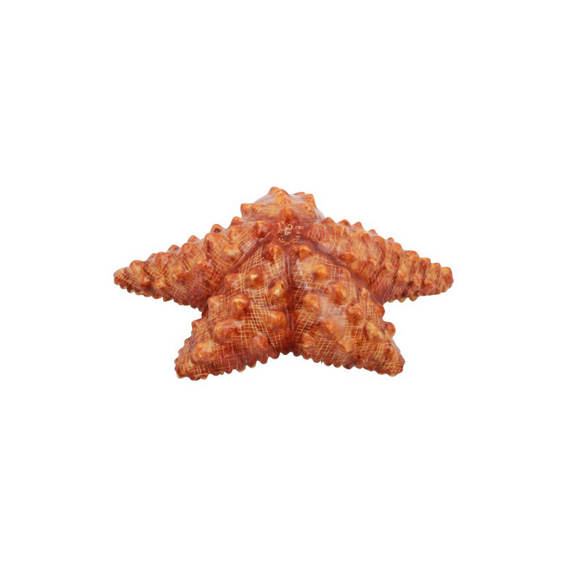 Figurine étoile de mer