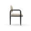 Madera Dining Arm Chair