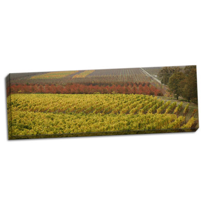 " Vineyard " by Vitaly Geyman