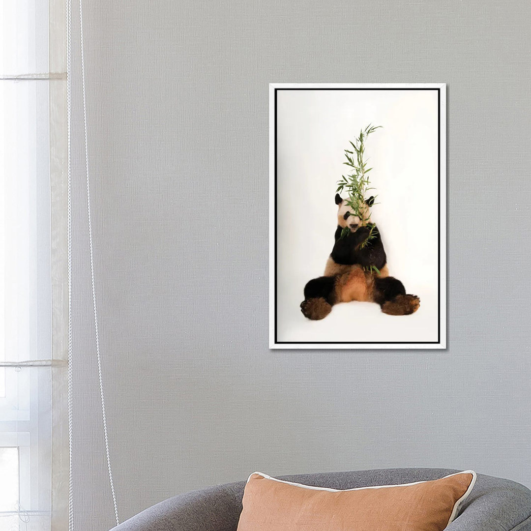 A Giant Panda At Zoo Atlanta I von Joel Sartore - Gallery-Wrapped Canvas Giclée on Canvas