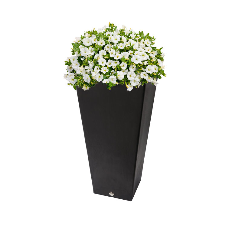 Cara Pot Planter, 24" H x 14" W x 14" D, Black