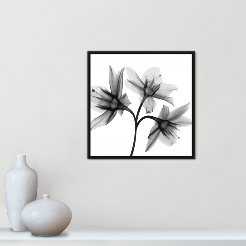 Collection Twins & Trio «Daffodil Trio - Square Version» par Albert Koetsier, Espresso, H 25,5 po x l 25,5 po