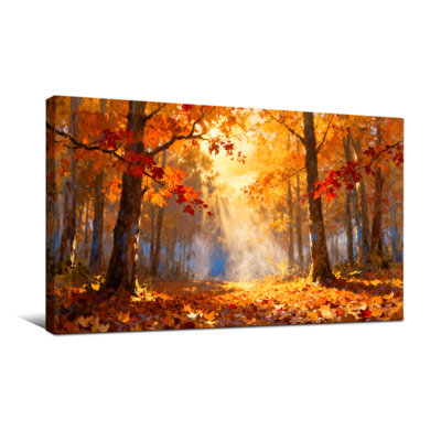 Plants &Flowers Autumn Forest Sunlight Leaves Trees Warm Colors Nature Scene