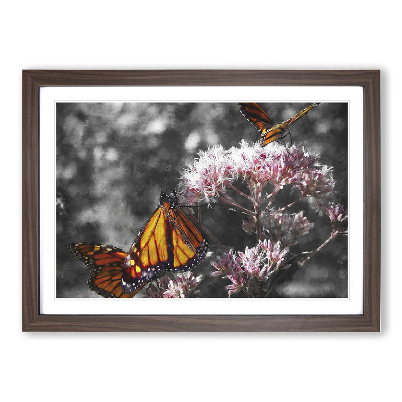 Monarch Butterflies Vol.2 Painting - Picture Frame Graphic Art, 27cm H x 36cm W x 2cm D, Walnut