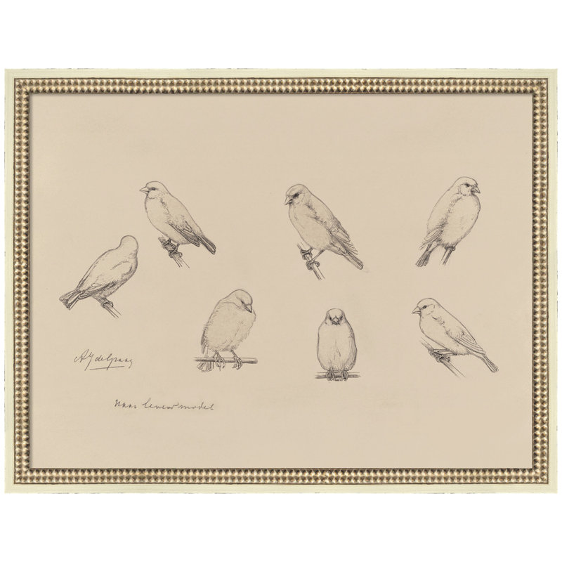 Étude feuille canari Julie de Graag par Nostalgia Prints, reproduction d'art sur toile encadrée