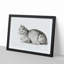 Peaceful Cat by Jean Bernard - Picture Frame Drawing Print-55577985-55577984
