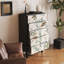 Armoire décorative française moderne à sens avancé