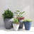 TruDrop Rim Modern Self Watering Plant Pot-348877685-300519699