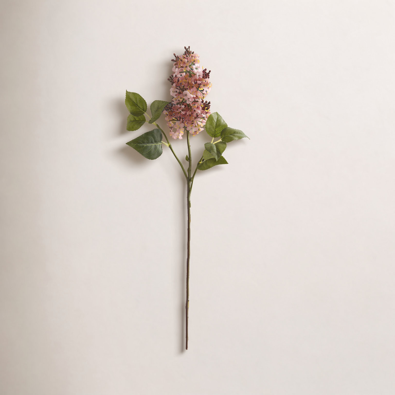 Lilac Floral Stems, Pink