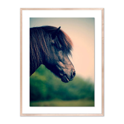 Horse Profile 5 Print by Pernille Westh