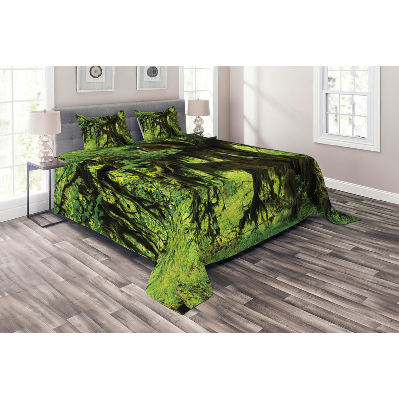Coverlet