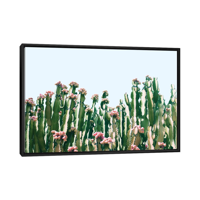 Cactus Blush - impression sur toile tendue, H 18 po x l 26 po x P 1,5 po, Toile avec cadre noir, Pas de tapis