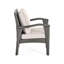 Duo de fauteuils club gris - Siège - Argenté + fer, unité de tissu imperméable en fer PE pour 2 chaises de patio