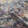 Jordan Cary Abstract Indoor Rug