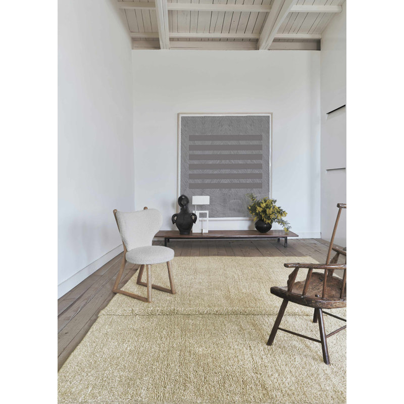 Sheep Of The World Hand Tufted Wool Area Rug in Sheep Beige, Rectangle 2'7" x 4'7"