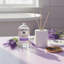 Recharge de diffuseur de roseau lavande classique