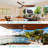 60 Inch Indoor Modern Ceiling Fan With 6 Speed Remote Control 3 Solid Wood Blade For Living Room-574554340-574554343