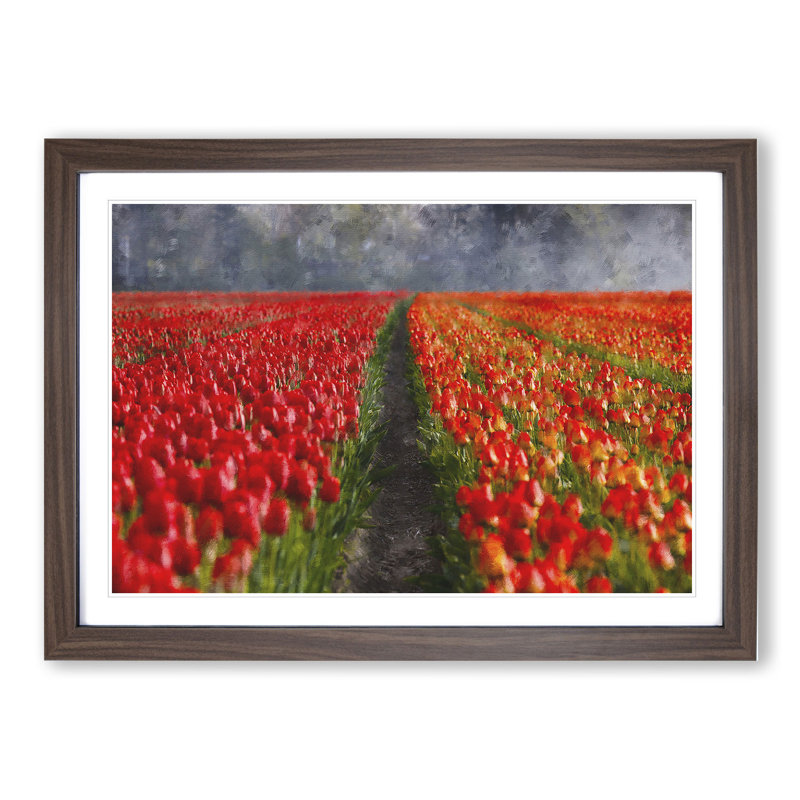 Field of Tulips - Framed Print, Walnut Framed, 27cm H x 36cm W x 2cm D