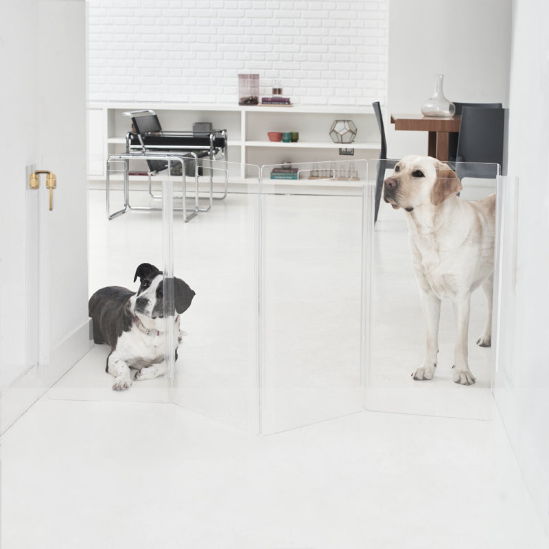 Clear Zig Zag Pet Gate Wall Mounted Pet Gate with Gold Latch, Gold, 4 Panel
