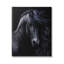 Az-063 - Portrait d'étalon noir encadré-93960972