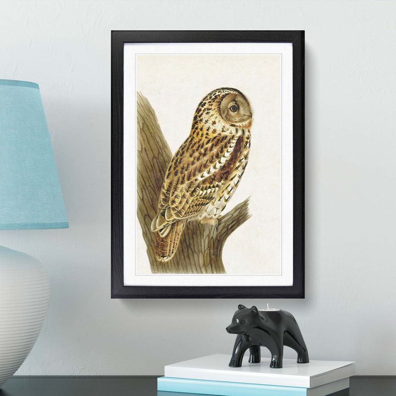 Tawny Owl by Von Wright - Picture Frame Art Print, 36cm H x 27cm W x 2cm D, Black Framed