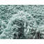 Tapis turquoise Wentworth-635652020