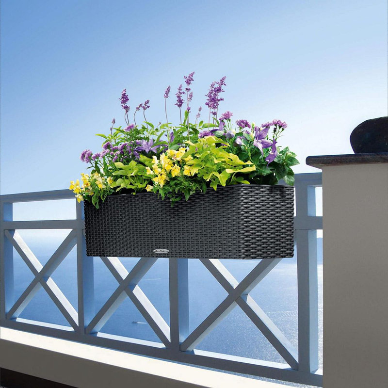 Balconera Window Box Planter, 19cm H x 80cm W x 19cm D