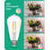 60 Watt Equivalent ST64 E26/Medium (Standard) Dimmable 4000K LED Bulb