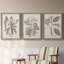 Ensemble de 3 cadres photo sur toile Midnight Tulip V-981462660-981462677