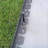 1.5 Ft. H Vinyl Lawn Edging-1843591634-1843591647