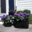 Nina Handmade Metal Pot Planter-121457706
