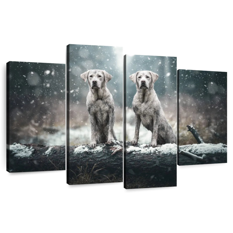 Brampt Muddy Labrador Dogs