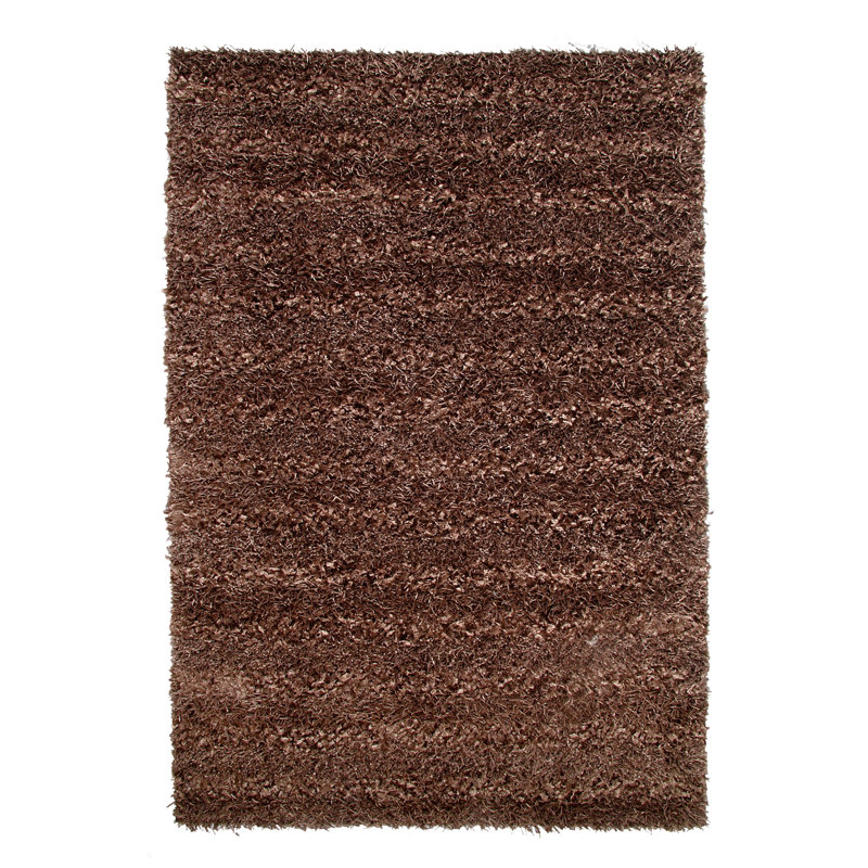 Tapis brun tissé à la main Seabury, 4' x 6'