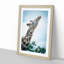 Stretching Giraffe - Framed Print-55730734-55730739