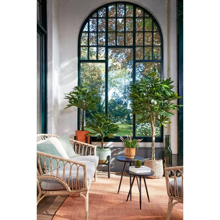 Faux Plant in Plastic Pot, 80cm H x 60cm W x 60cm D