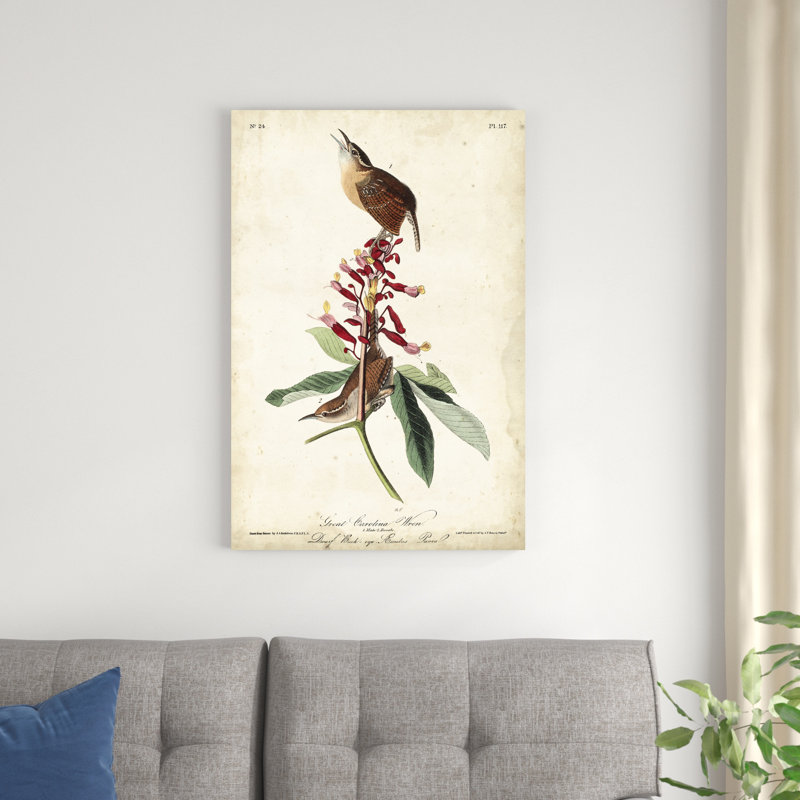Great Carolina Wren, H 36 po x l 24 po x P 1,25 po