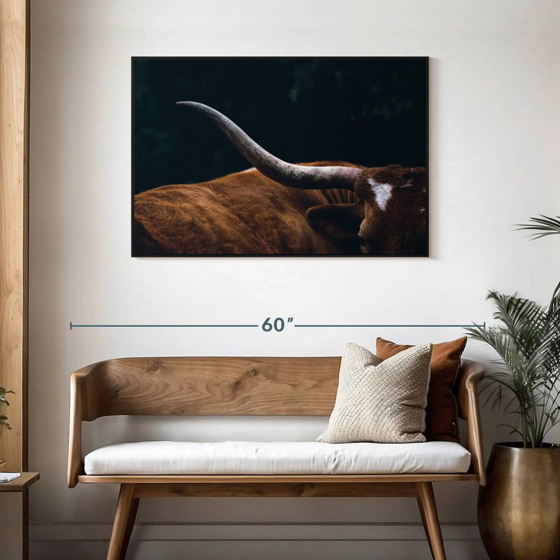 Vache Texas Longhorn, H 29 po x l 43 po
