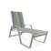Holna Outdoor Rust-Resistant Metal Chaise Lounge