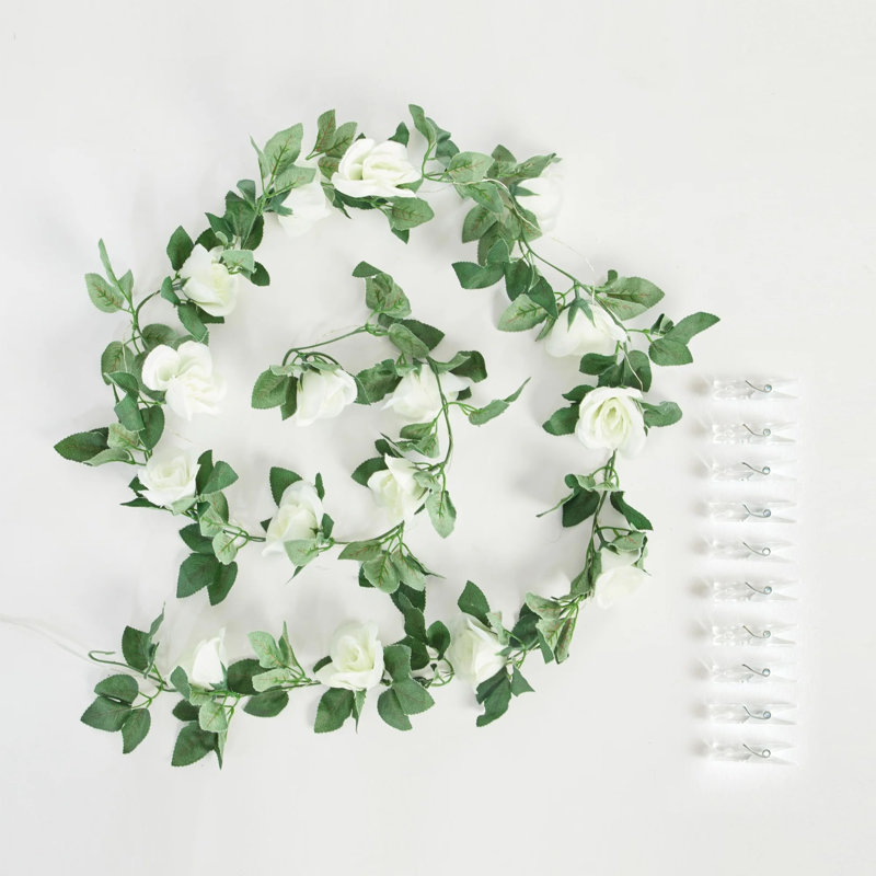  Clips de photo de vigne rose avec lumières, vert