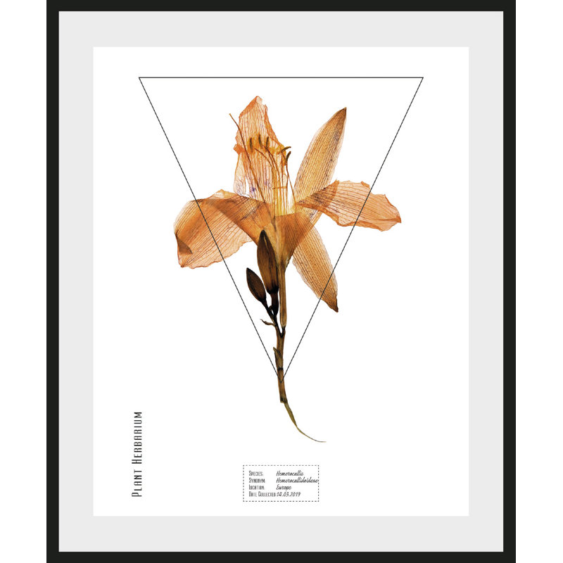 Plant - Single Picture Frame Print
