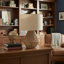Lighting, h 22 po, lampe de table, corde brune, abat-jour beige, transitionnel