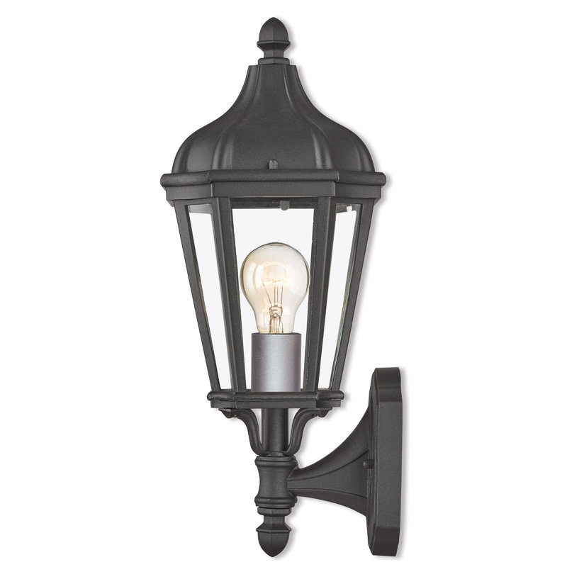 7-Inch 1-Light TBK Outdoor Wall Lantern Clear Glass, Bronze/Nickel