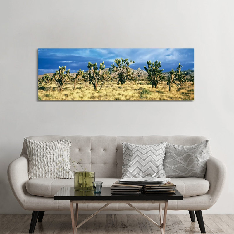 Joshua Trees In The Mojave National Preserve, Mojave Desert, San Bernardino County, California, USA - Wrapped Canvas Panoramic Print