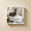 «Zebra In Bubble Bath» par Kathy Mansfield - impression sur toile-887907714