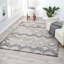 Tapis d'intérieur / extérieur à poils longs Jameer-517961393